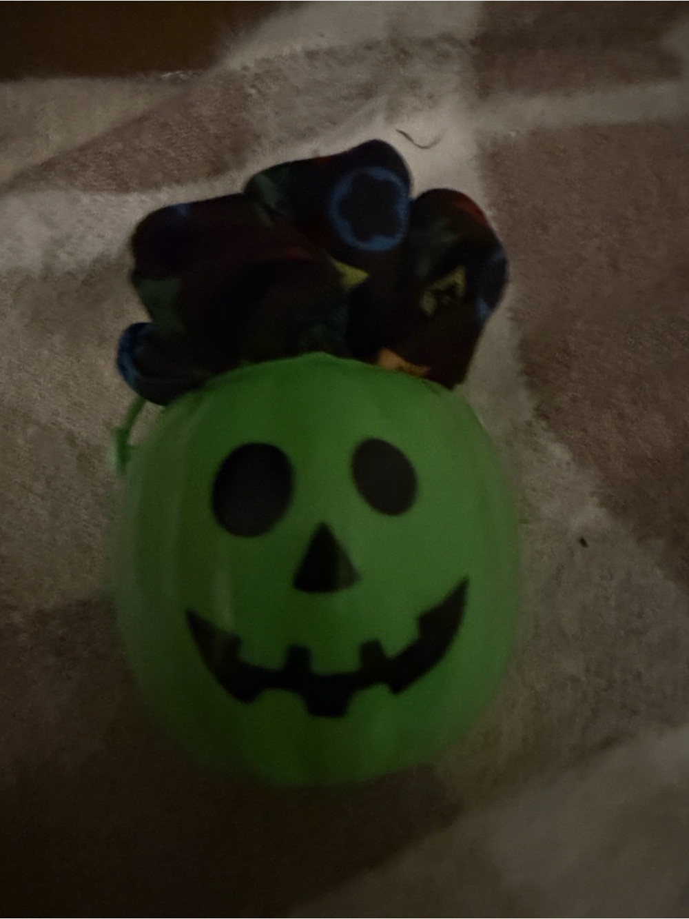 Green mini pumpkin